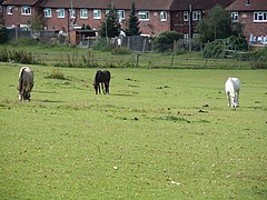 King John's Walk (Green Chain Walk)