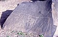 Image 6Rock art in the Sahara Desert (from Mauritania)