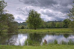 View over Magna Carta Island towards Runnymede