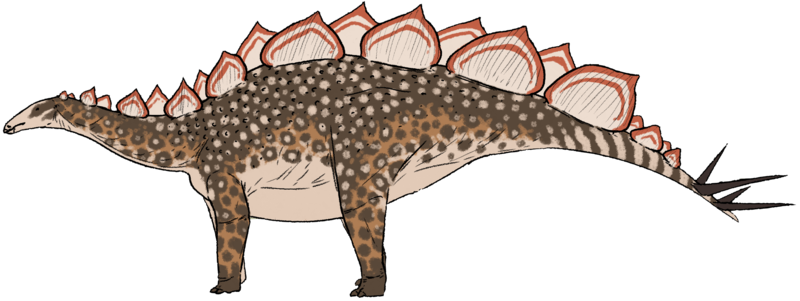 File:Wuerhosaurus homheni.png