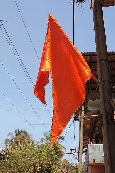 File:भगवा ध्वज.jpg