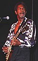 Image 52Luther Allison (from List of blues musicians)