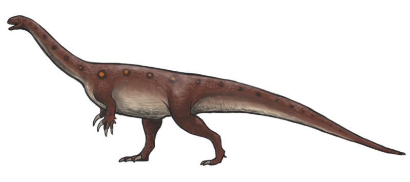 Archivo:Massospondylus reconstruction.png