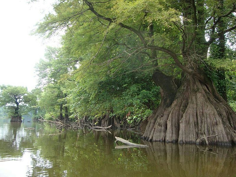 File:Metropolis Lake.jpg