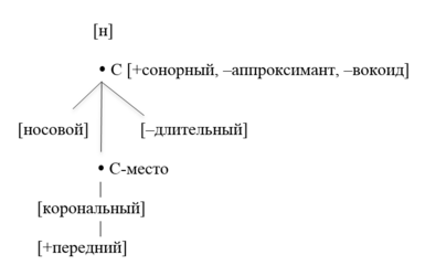 Геометрия признаков дентального носового сонорного [н]