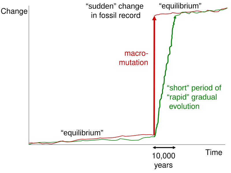 File:Punctuated Equilibrium.svg