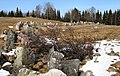 The Salpa Line anti-tank obstacles in Aholanvaara