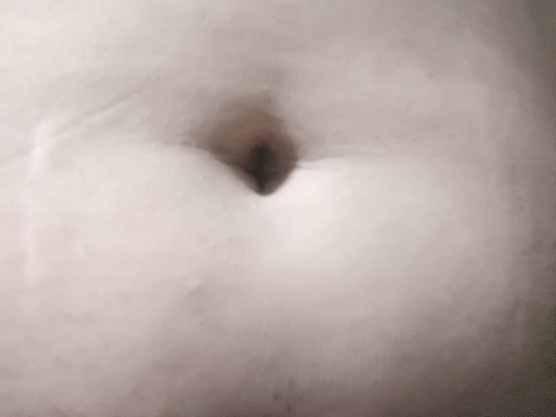 File:Belly Button.jpg