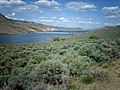 Blue Mesa Reservoir