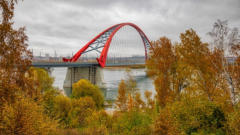 File:Bugrinsky Bridge.jpg