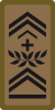 WO-3 - Master warrant officer