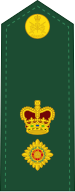 File:Canadian Army OF-4 (2016-2017).svg