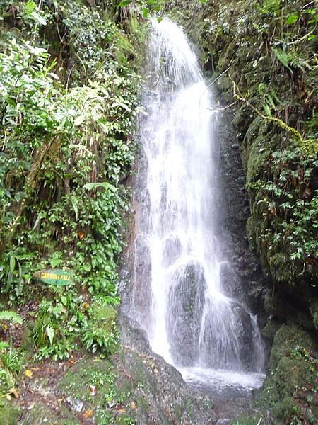 File:Carson Fall Mt Kinabalu.jpg