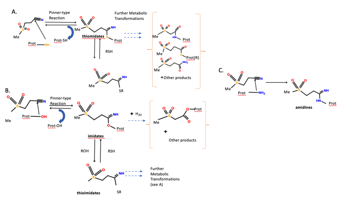 Dapansutrile Mechanism of Action. A. Reaction pathway with sulphur. B. Reaction pathway with oxygen. C. Reaction pathway with nitrogen.[13]