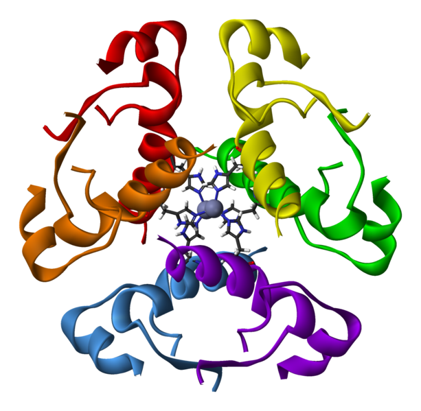 File:Human-insulin-hexamer-3D-ribbons.png