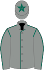 Grey, dark green seams, dark green star on cap