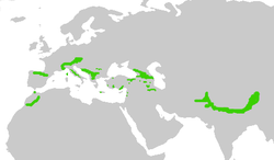 Área de distribución aproximada en verde.