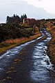 Image 30A back road in Co. Mayo