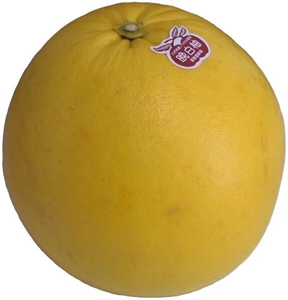 File:Banpeiyu pomelo.jpg