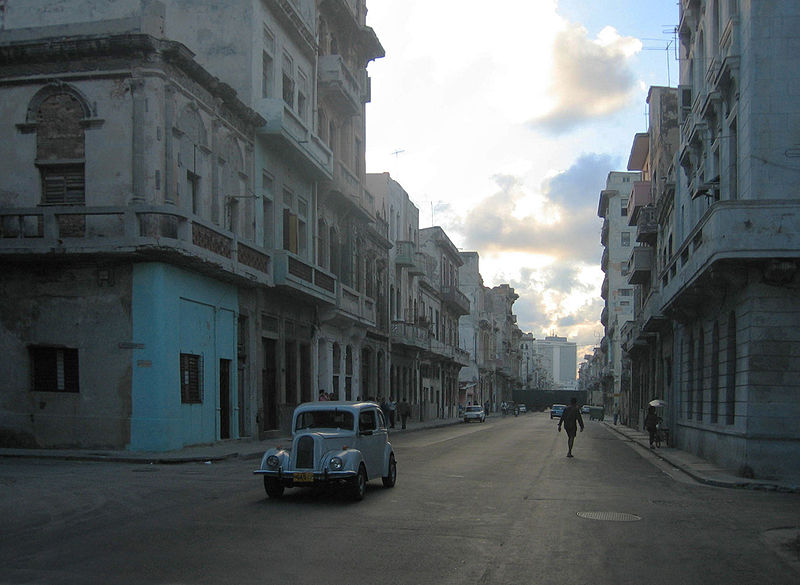 Archivo:DirkvdM havana grey.jpg