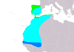 Distribución de Phylloscopus ibericus