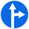 Straight ahead or right turn permitted