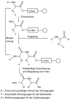 Schematic diagram of a solid-state peptide synthesis with orthogonal protecting groups X and Y