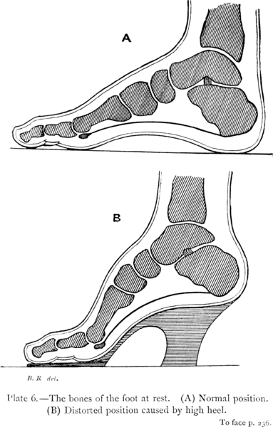 File:Science ofDressTo face p236.png