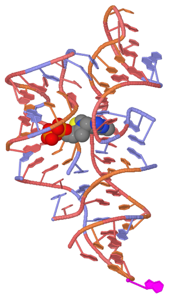 File:TPP riboswitch pdb-2hoj.png