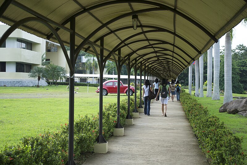 File:Upmin-pathwalk.jpg