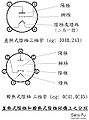 2007年7月22日 (日) 08:33版本的缩略图