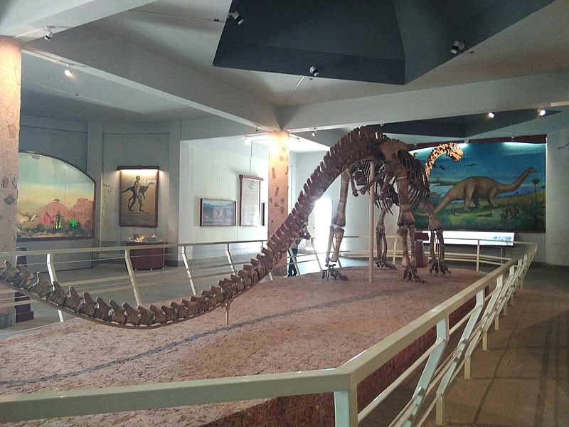 File:160-million-year-old mounted dinosaur skeleton.jpg