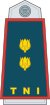 Lieutenant Colonel