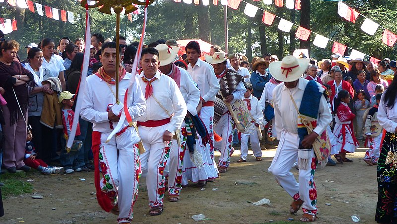 File:Arrieros acazulco.JPG