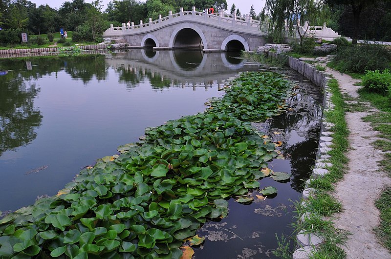 File:BeijingBotanical1.jpg