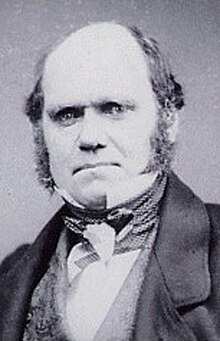 Charles Darwin.jpg