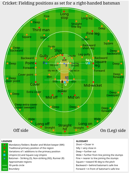 File:Cricket fielding positions.svg