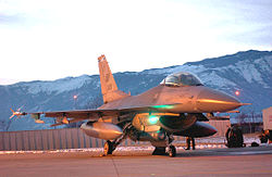 A US Air Force F-16 Fighting Falcon of the 31st Fighter Wing based at Aviano.