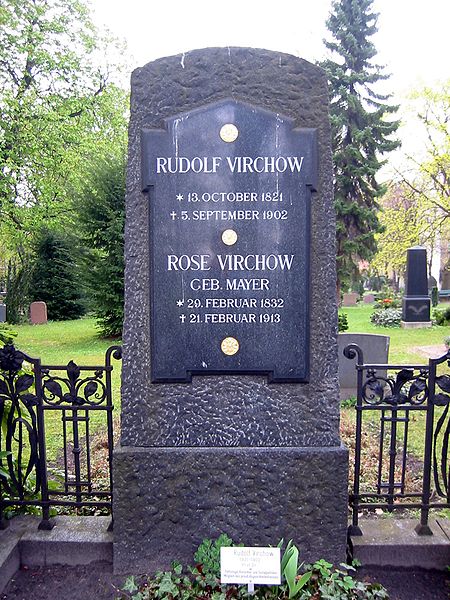 File:Grab Rudolf Virchow.jpg