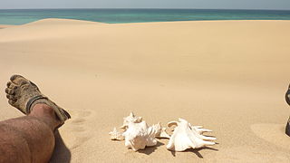 Berbera beach.