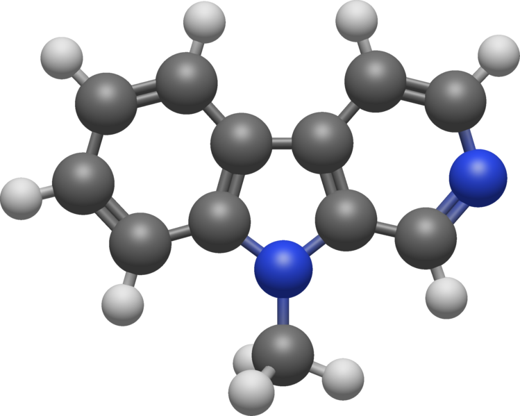 File:9-Me-β-carboline 3D BS.png