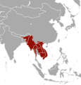 Range of Burmese ferret-badger (Melogale personata)