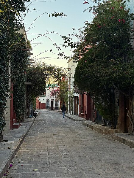 Archivo:Calles de San Miguel.jpg