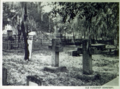 Historic Huguenot Cemetery