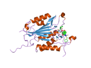 2cno: CRYSTAL STRUCTURES OF CASPASE-3 IN COMPLEX WITH AZA-PEPTIDE EPOXIDE INHIBITORS.