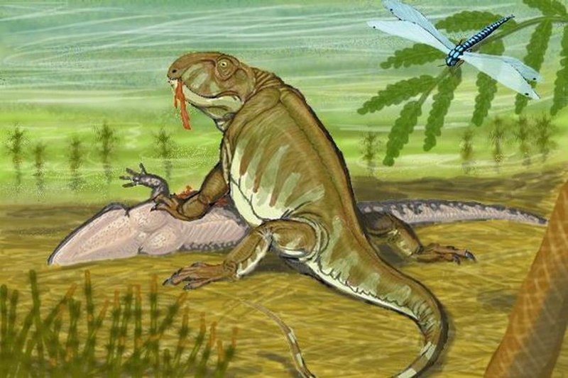 File:Pantelosaurus.jpg