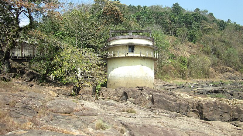 File:Perunthenaruvi Pathanamthitta (17).jpg