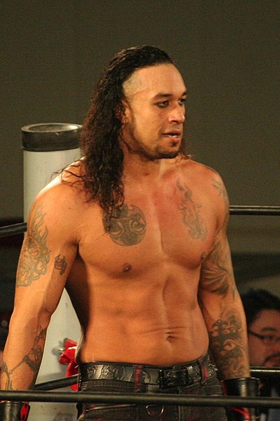 Файл:Punishment Martinez 2017 crop.jpg