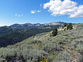 Soldier Mountains