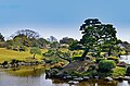 Suizen-ji Japanese Pine